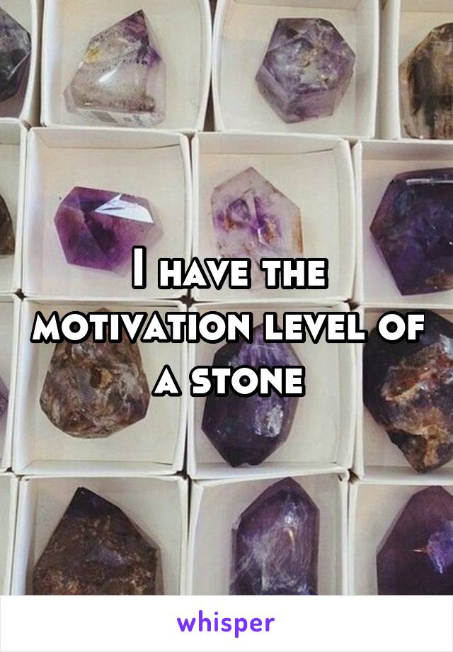 I have the motivation level of a stone