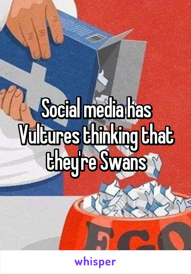 Social media has Vultures thinking that they're Swans