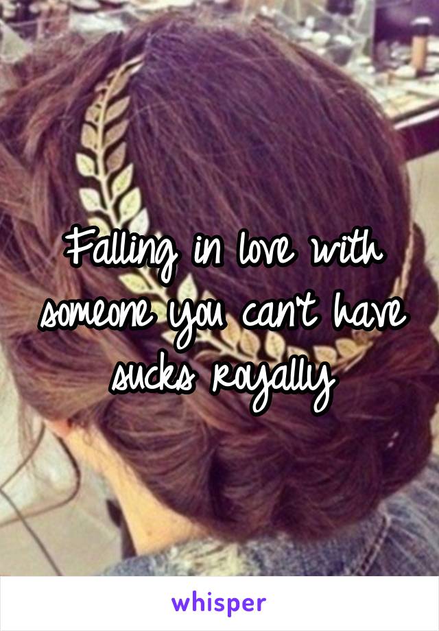 Falling in love with someone you can't have sucks royally