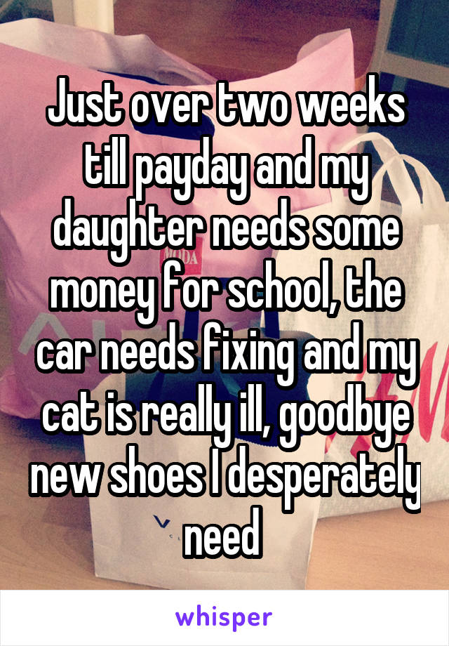 Just over two weeks till payday and my daughter needs some money for school, the car needs fixing and my cat is really ill, goodbye new shoes I desperately need 