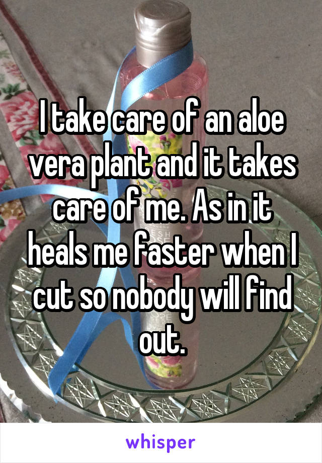 I take care of an aloe vera plant and it takes care of me. As in it heals me faster when I cut so nobody will find out.