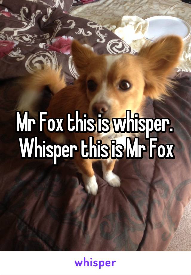 Mr Fox this is whisper. 
Whisper this is Mr Fox