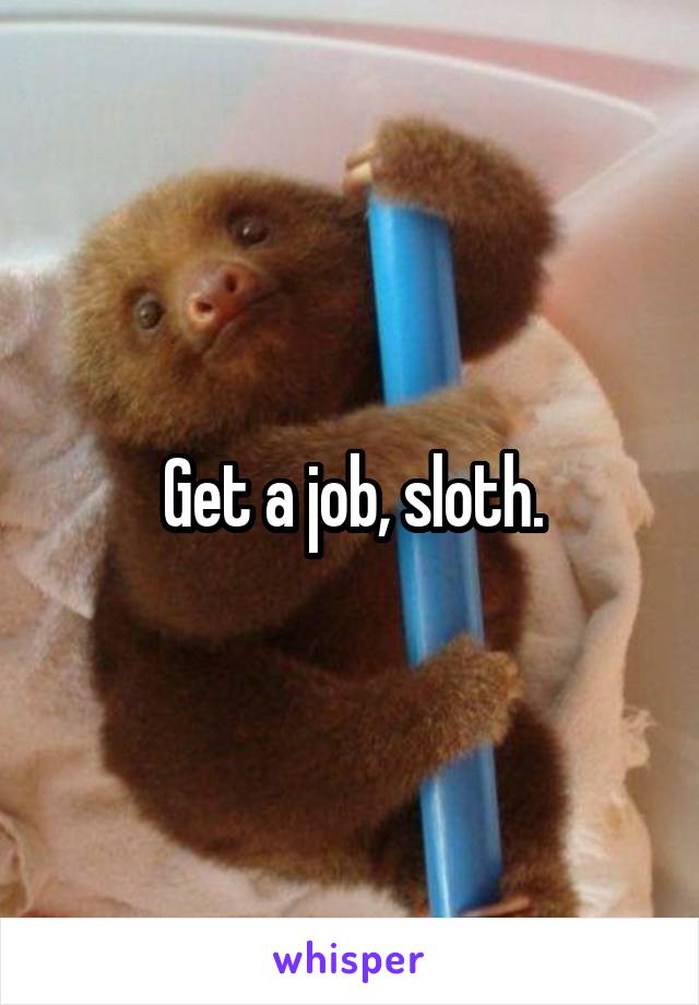 Get a job, sloth.