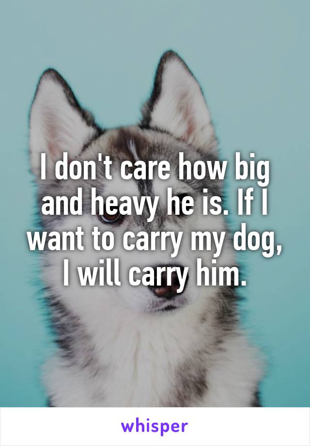 I don't care how big and heavy he is. If I want to carry my dog, I will carry him.