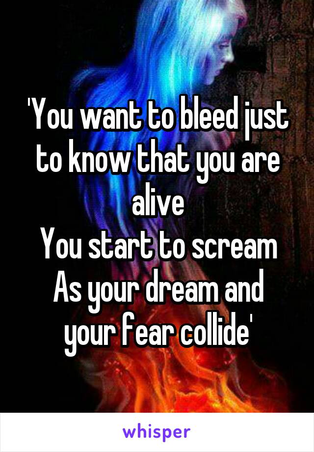 'You want to bleed just to know that you are alive
You start to scream
As your dream and your fear collide'