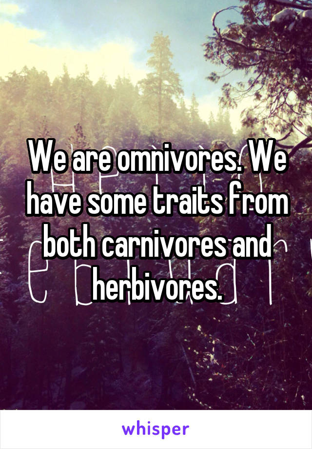 We are omnivores. We have some traits from both carnivores and herbivores.