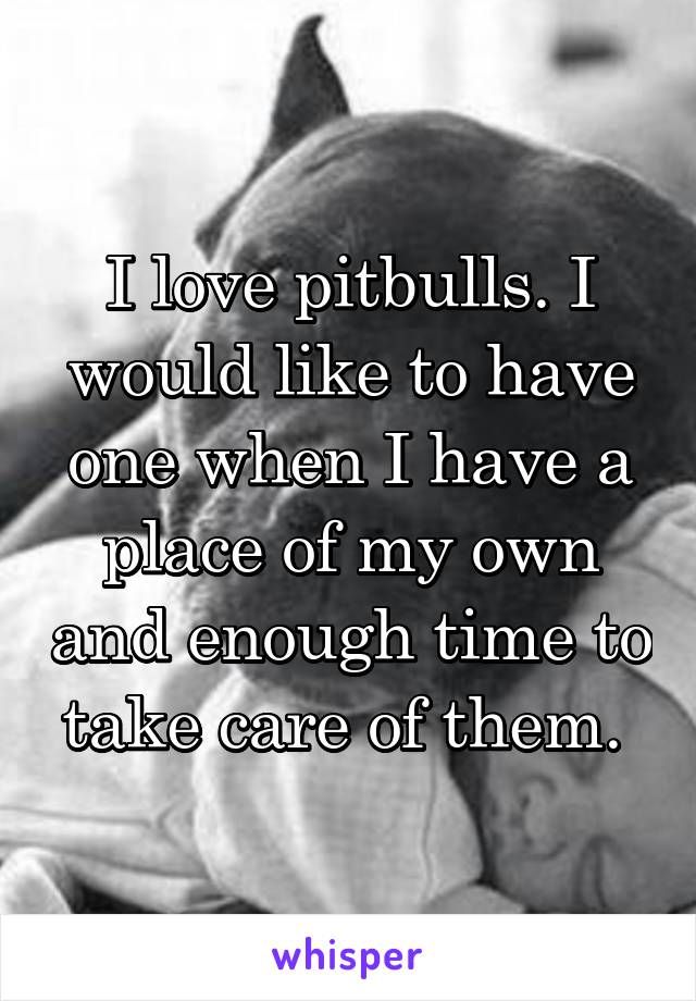 I love pitbulls. I would like to have one when I have a place of my own and enough time to take care of them. 