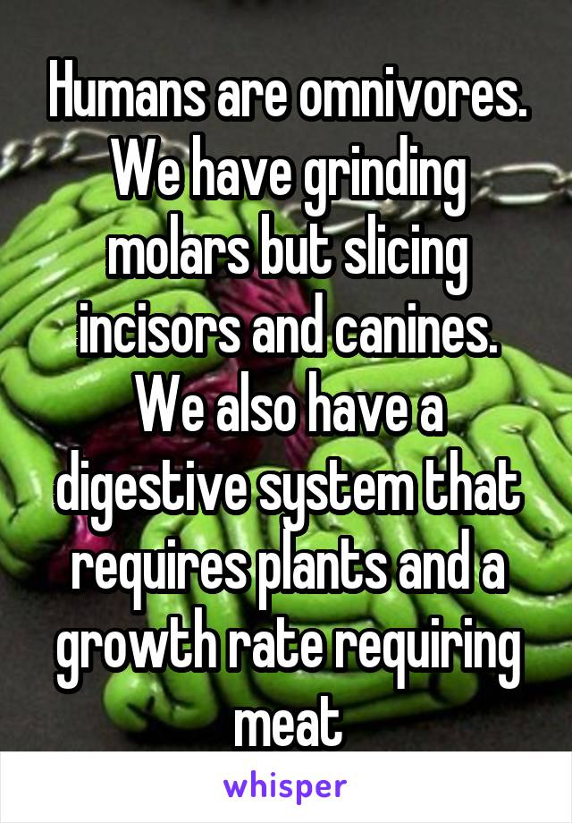 Humans are omnivores. We have grinding molars but slicing incisors and canines. We also have a digestive system that requires plants and a growth rate requiring meat