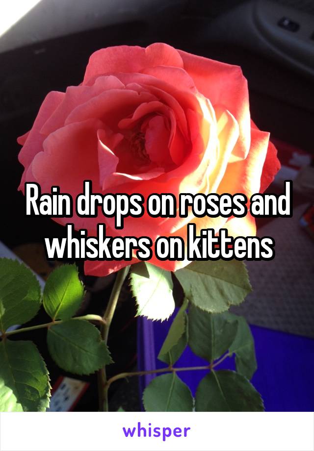 Rain drops on roses and whiskers on kittens