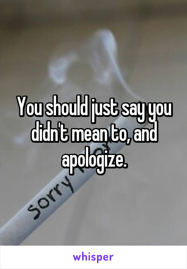 You should just say you didn't mean to, and apologize.