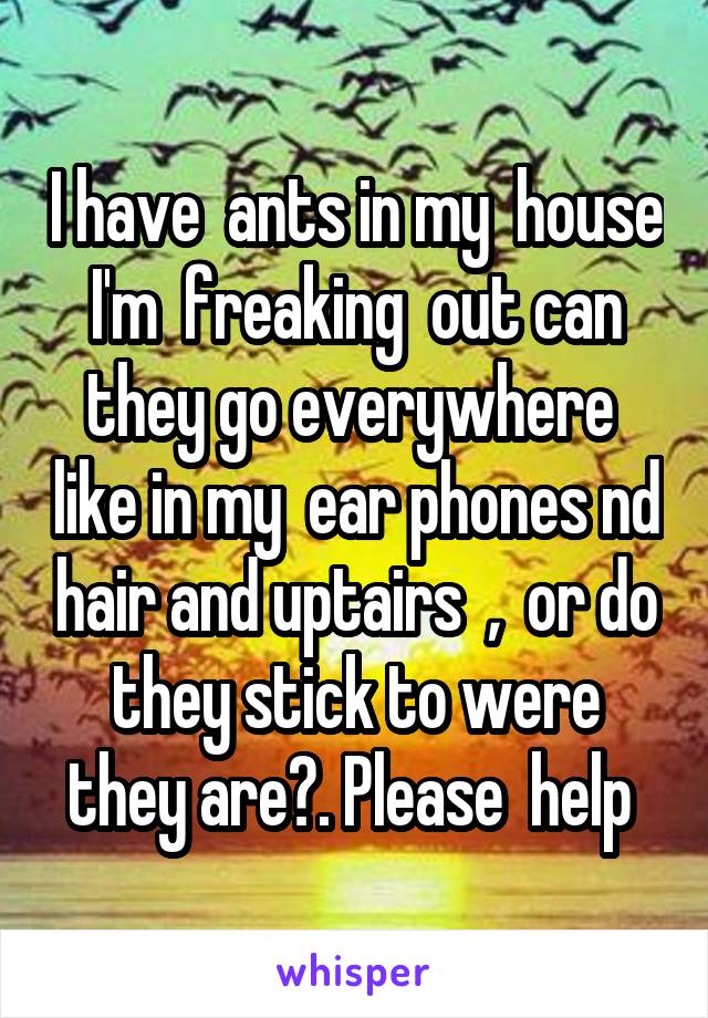 I have  ants in my  house I'm  freaking  out can they go everywhere  like in my  ear phones nd hair and uptairs  ,  or do they stick to were they are?. Please  help 