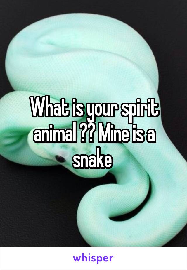What is your spirit animal ?? Mine is a snake 