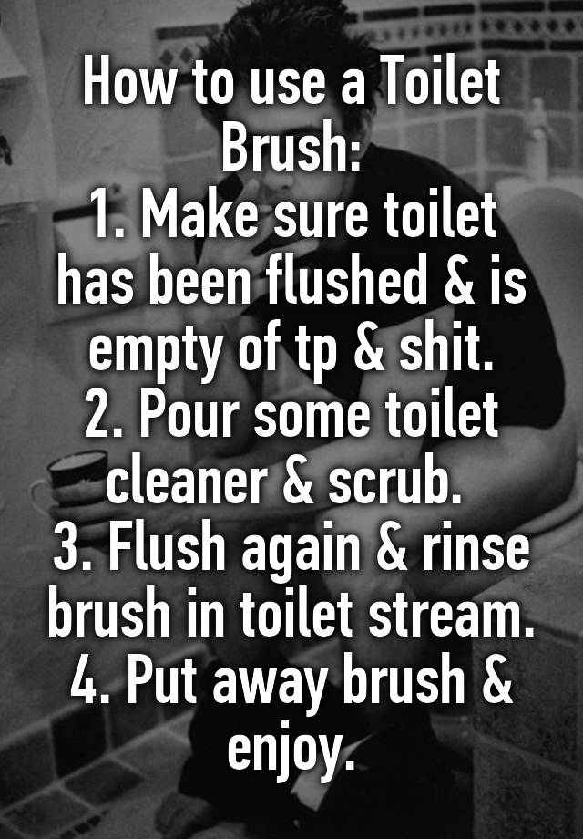 how-to-use-a-toilet-brush-1-make-sure-toilet-has-been-flushed-is