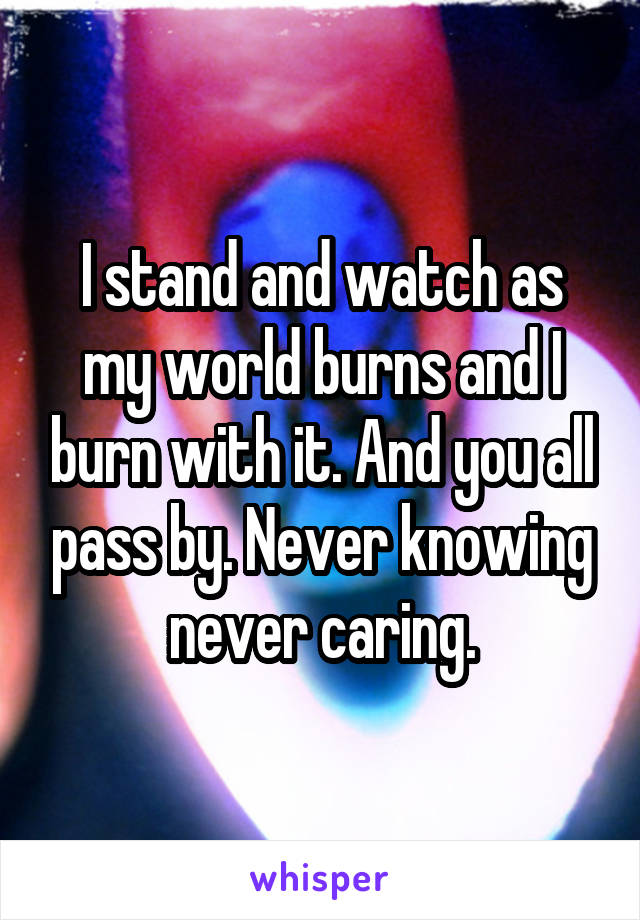 I stand and watch as my world burns and I burn with it. And you all pass by. Never knowing never caring.