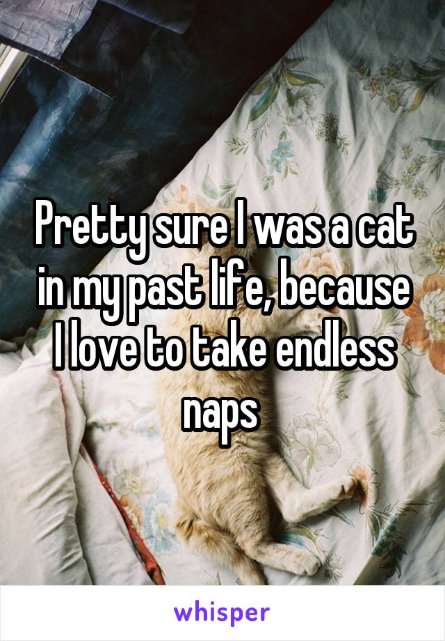 Pretty sure I was a cat in my past life, because I love to take endless naps 