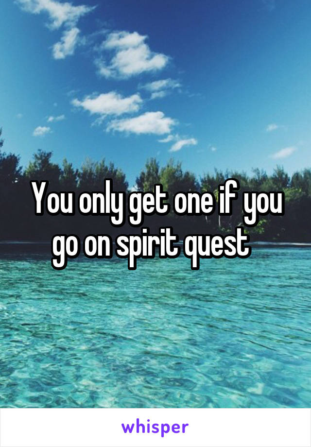 You only get one if you go on spirit quest  