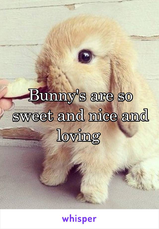 Bunny's are so sweet and nice and loving 