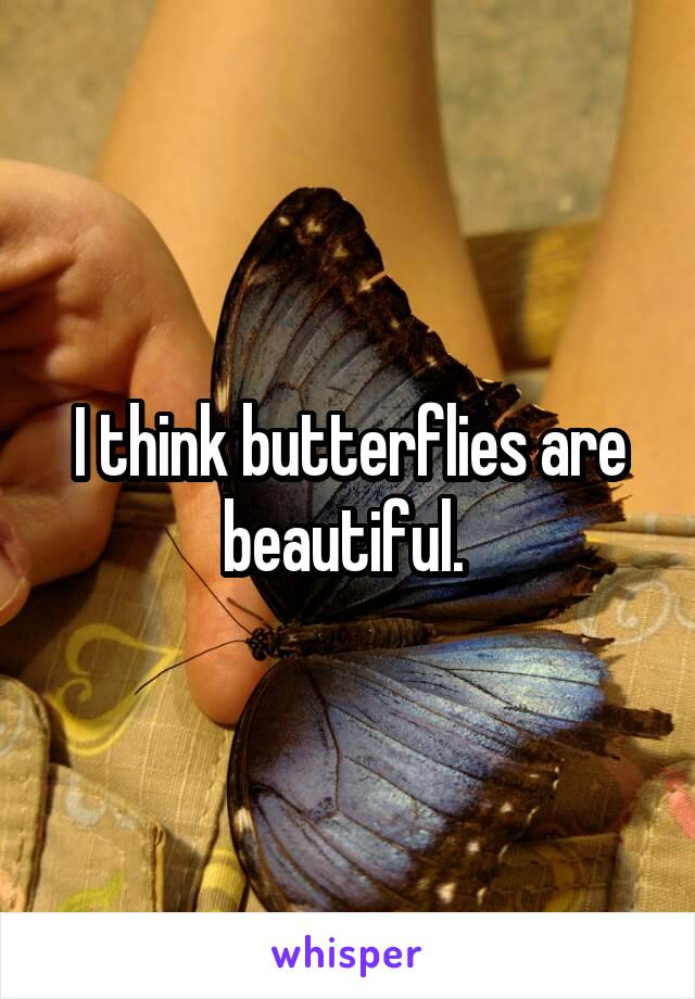 I think butterflies are beautiful. 