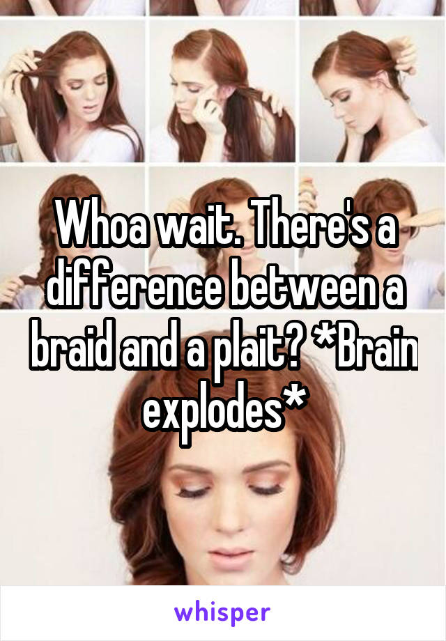 Whoa wait. There's a difference between a braid and a plait? *Brain explodes*
