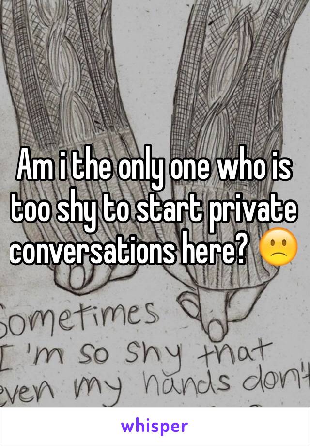 Am i the only one who is too shy to start private conversations here? 🙁