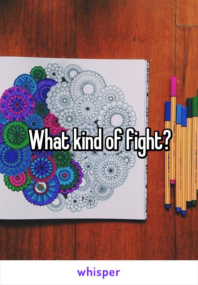 What kind of fight?