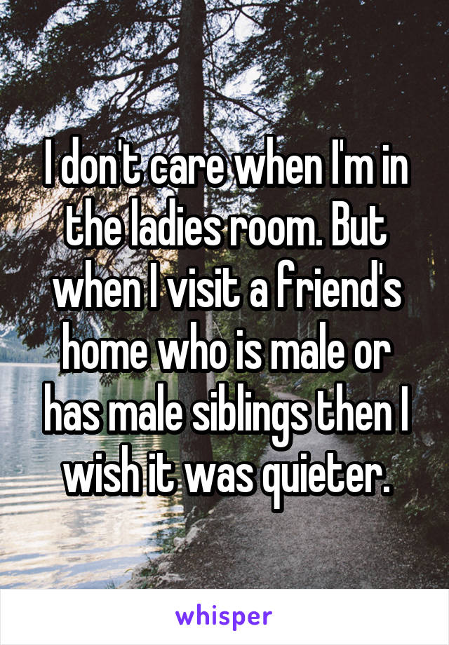 I don't care when I'm in the ladies room. But when I visit a friend's home who is male or has male siblings then I wish it was quieter.