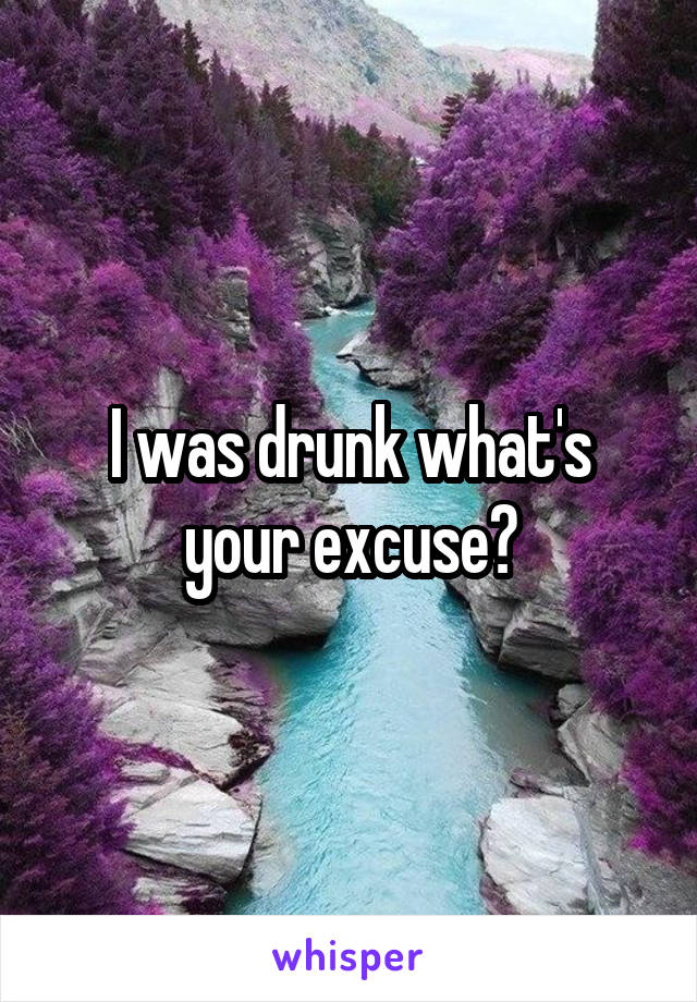 I was drunk what's your excuse?