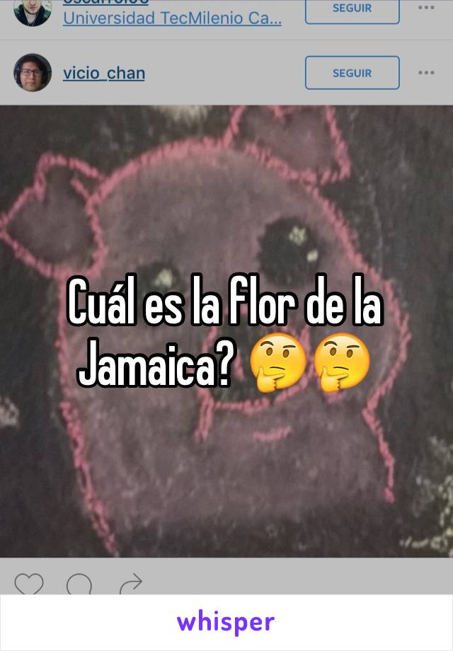 Cuál es la flor de la Jamaica? 🤔🤔