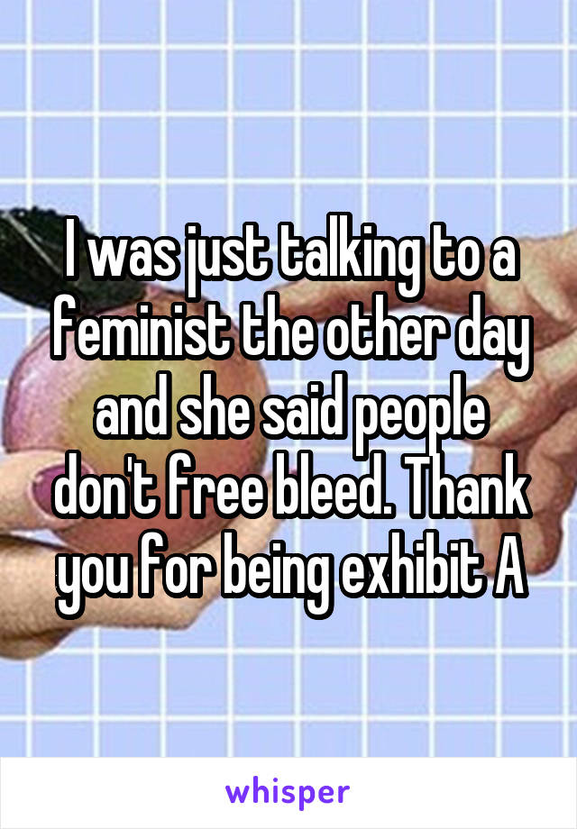 I was just talking to a feminist the other day and she said people don't free bleed. Thank you for being exhibit A