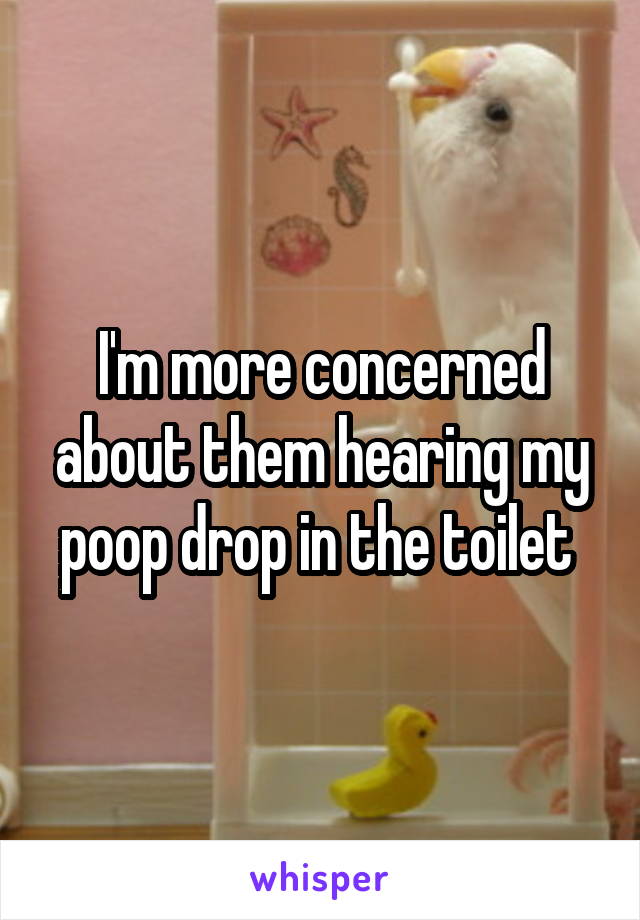 I'm more concerned about them hearing my poop drop in the toilet 