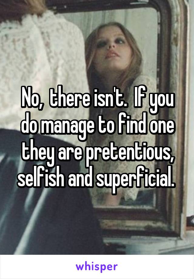 No,  there isn't.  If you do manage to find one they are pretentious, selfish and superficial. 