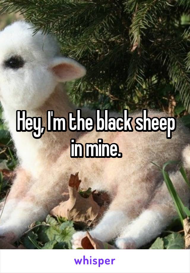 Hey, I'm the black sheep in mine.