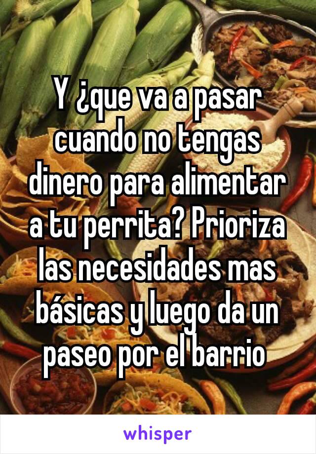 Y ¿que va a pasar cuando no tengas dinero para alimentar a tu perrita? Prioriza las necesidades mas básicas y luego da un paseo por el barrio 