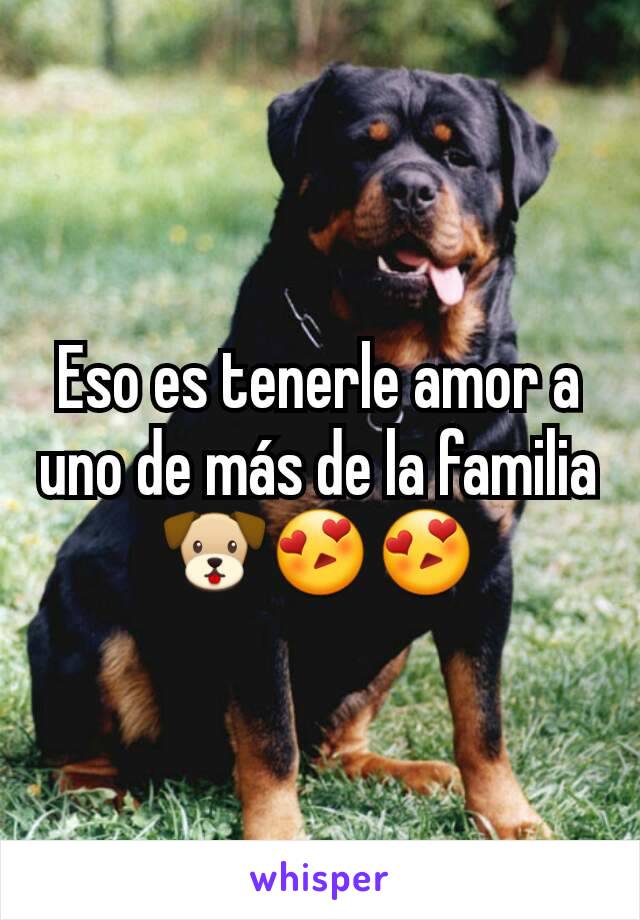 Eso es tenerle amor a uno de más de la familia 🐶😍😍