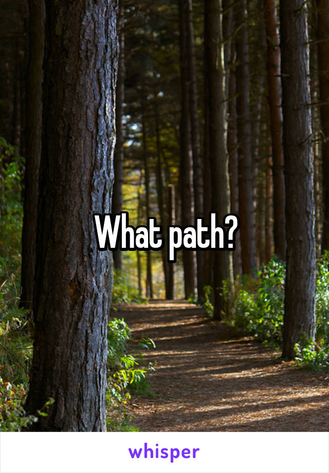 What path?