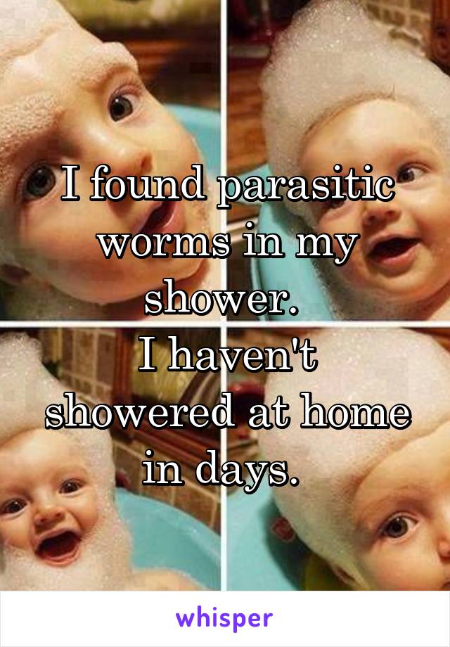 I found parasitic worms in my shower. 
I haven't showered at home in days. 
