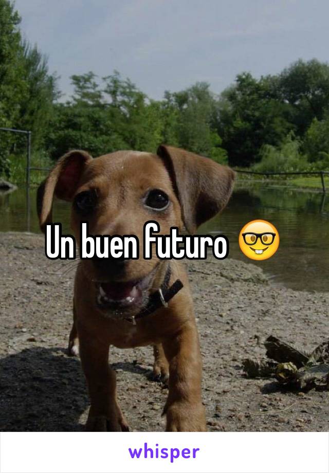 Un buen futuro 🤓