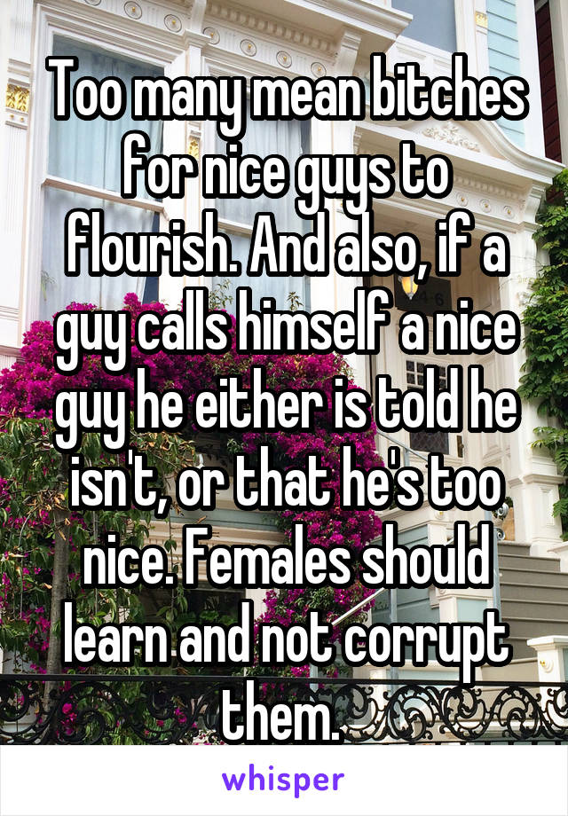 Too many mean bitches for nice guys to flourish. And also, if a guy calls himself a nice guy he either is told he isn't, or that he's too nice. Females should learn and not corrupt them. 