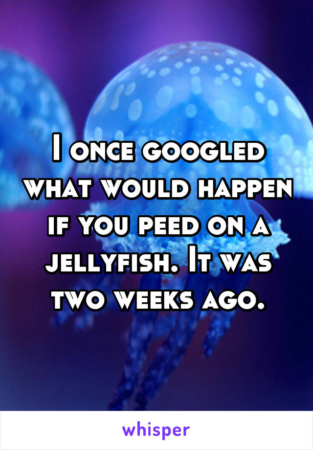I once googled what would happen if you peed on a jellyfish. It was two weeks ago.