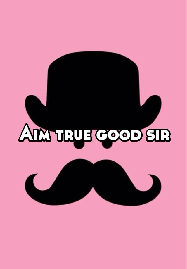 aim-true-good-sir