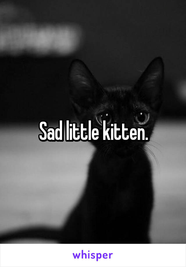 Sad little kitten.