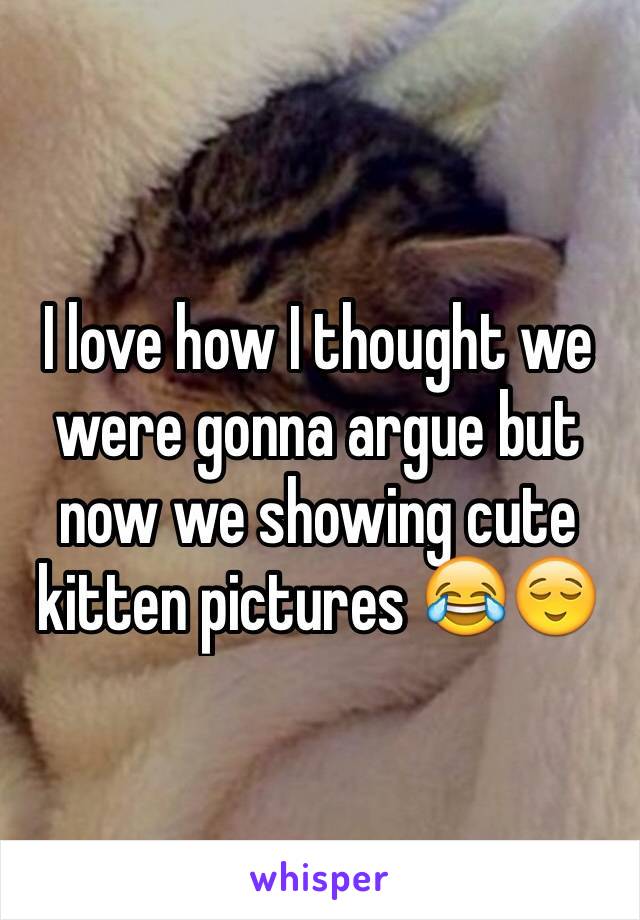 I love how I thought we were gonna argue but now we showing cute kitten pictures 😂😌