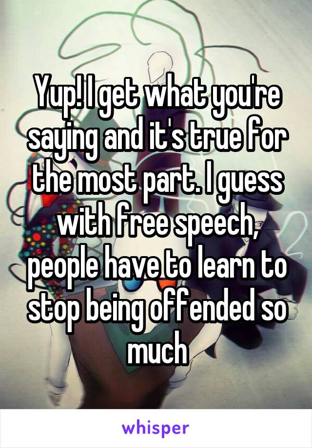 Yup! I get what you're saying and it's true for the most part. I guess with free speech, people have to learn to stop being offended so much