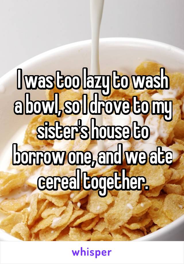 I was too lazy to wash a bowl, so I drove to my sister's house to borrow one, and we ate cereal together.