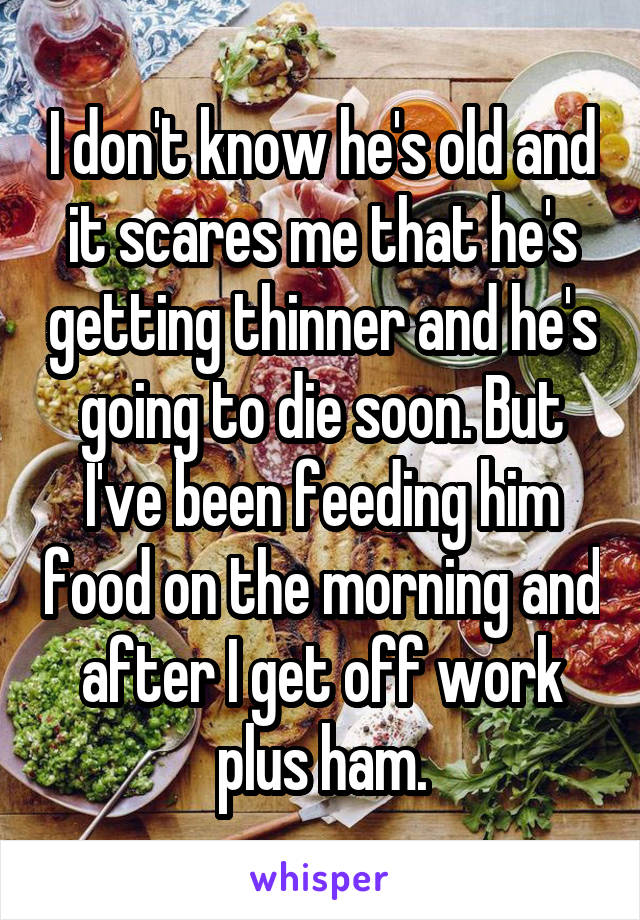 I don't know he's old and it scares me that he's getting thinner and he's going to die soon. But I've been feeding him food on the morning and after I get off work plus ham.