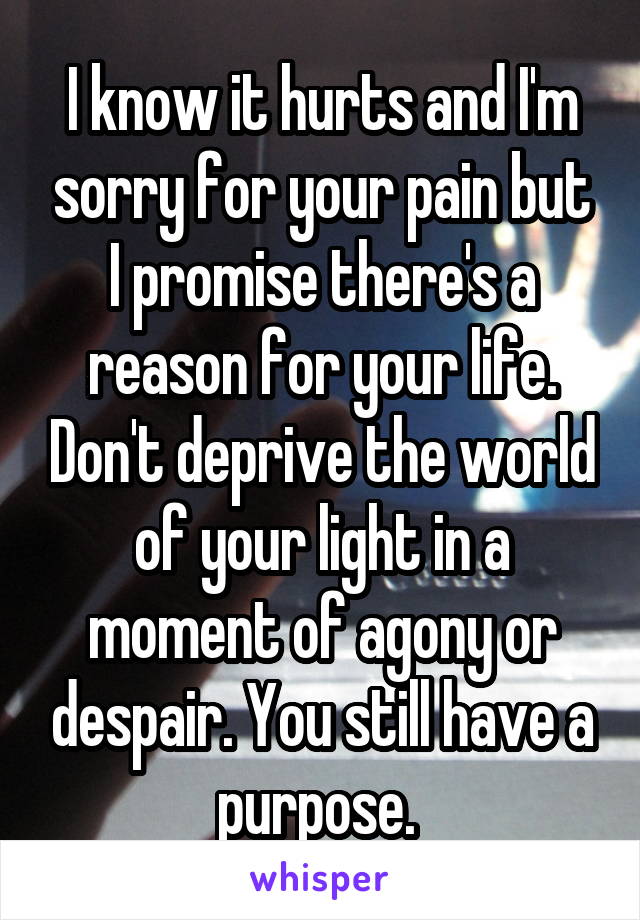 I know it hurts and I'm sorry for your pain but I promise there's a reason for your life. Don't deprive the world of your light in a moment of agony or despair. You still have a purpose. 