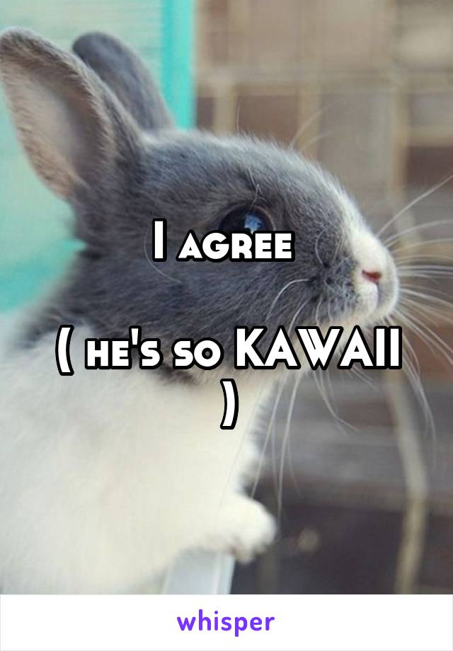 I agree 

( he's so KAWAII )