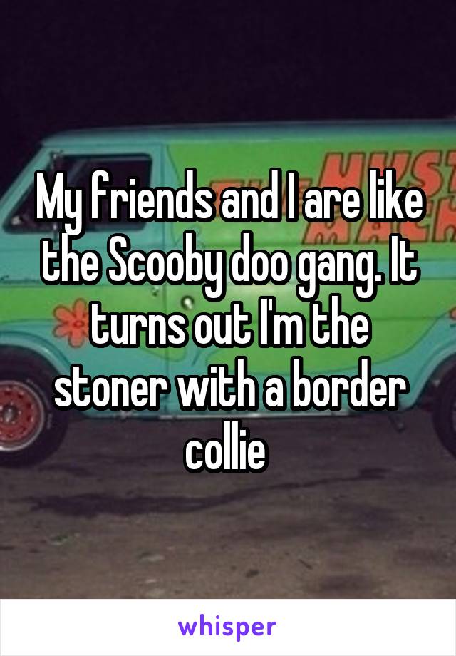My friends and I are like the Scooby doo gang. It turns out I'm the stoner with a border collie 