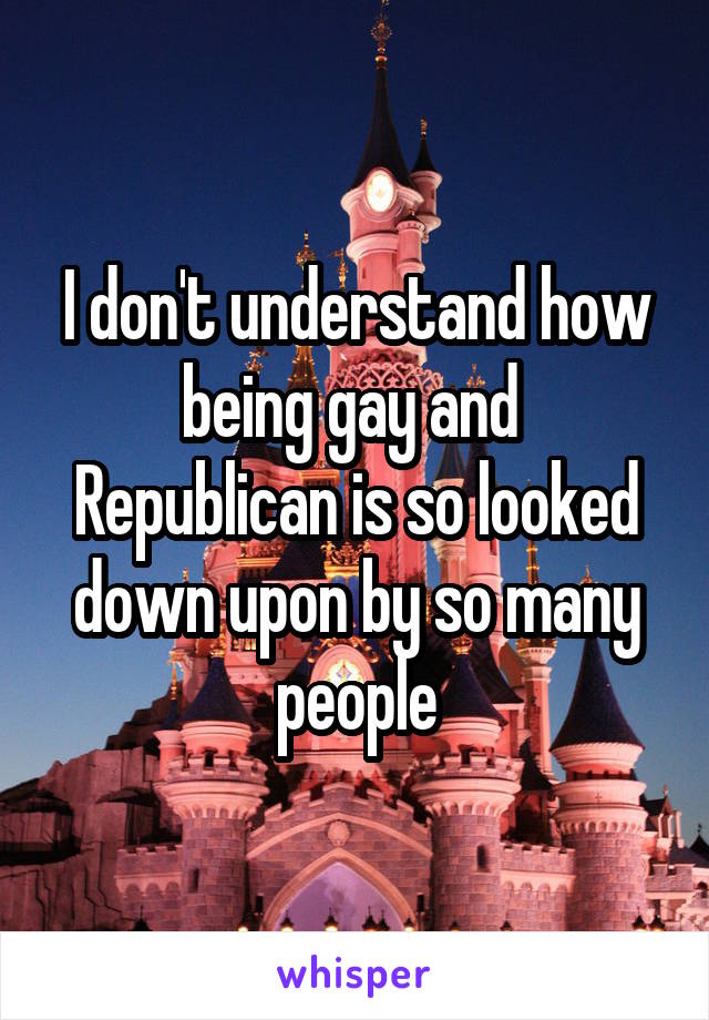 I don't understand how being gay and  Republican is so looked down upon by so many people