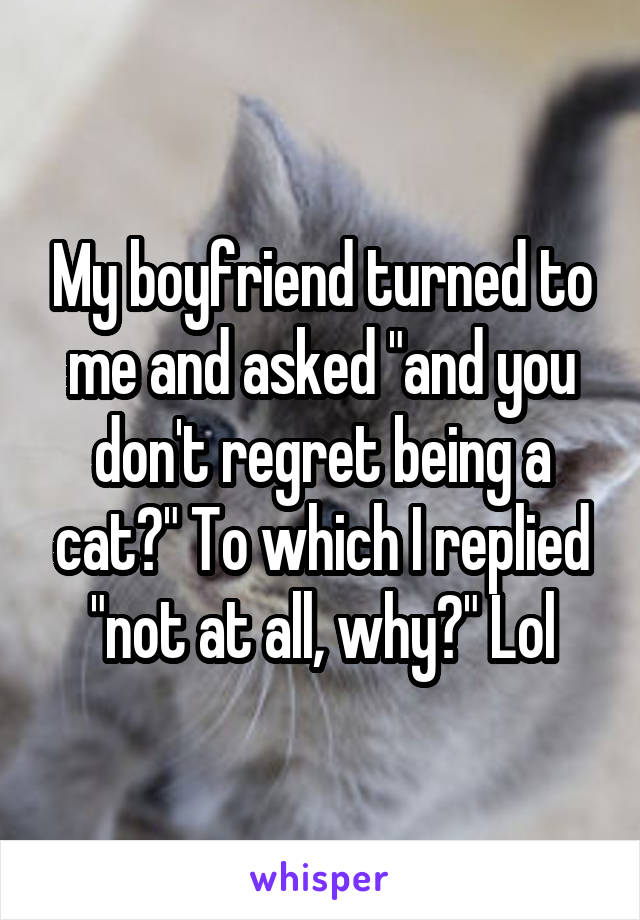 My boyfriend turned to me and asked "and you don't regret being a cat?" To which I replied "not at all, why?" Lol